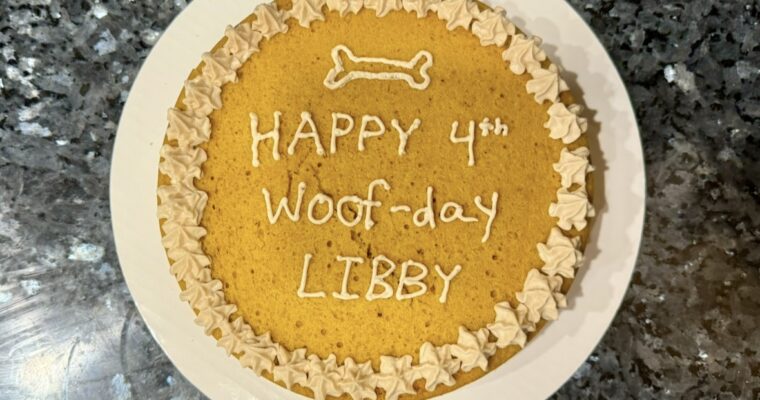 Dog Birthday Cake!