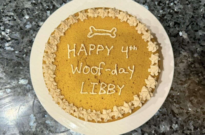 Dog Birthday Cake!